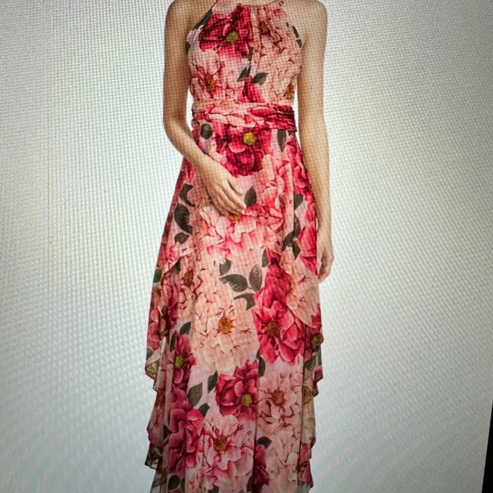 R&M Richards Red and Pink Floral Formal Sun Dress